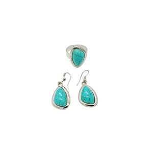 Blue Howlite Stainless Steel Earrings and Ring Set, Size 7